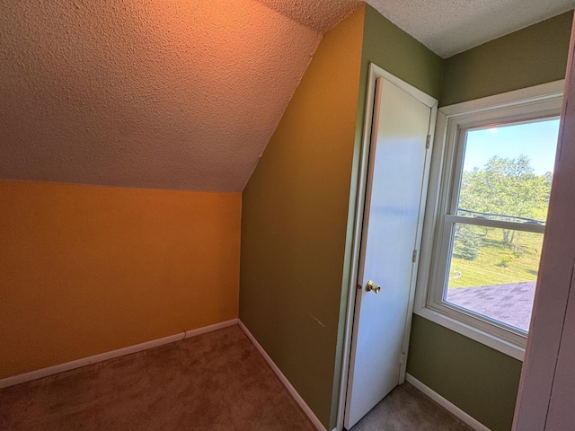 17864 County Road 66 NE, Eagle Bend, MN 56446 - bonus room with a textured ceiling, vaulted ceiling, and carpet