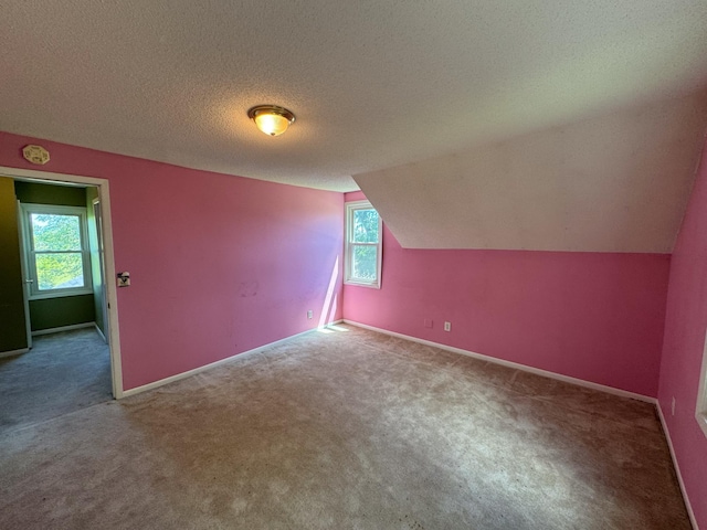 17864 County Road 66 NE, Eagle Bend, MN 56446 - bonus room with carpet floors, vaulted ceiling, and a textured ceiling