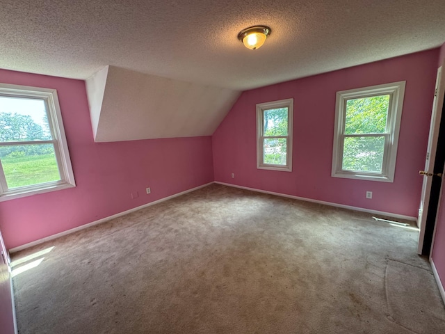 17864 County Road 66 NE, Eagle Bend, MN 56446 - bonus room featuring carpet, lofted ceiling, and a textured ceiling