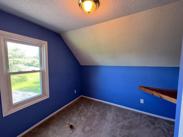 17864 County Road 66 NE, Eagle Bend, MN 56446 - additional living space featuring lofted ceiling, carpet floors, and a textured ceiling