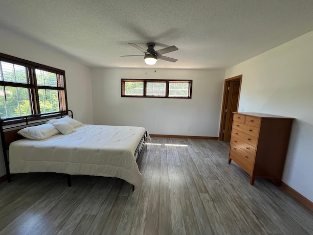 30289 Shady Ln, Burlington Twp, MN 56501 - photo 31