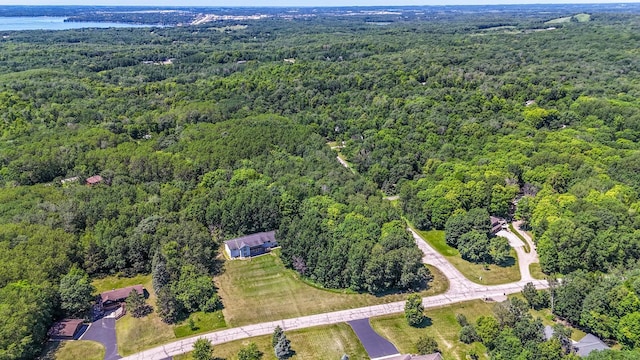 30289 Shady Ln, Burlington Twp, MN 56501 - photo 54