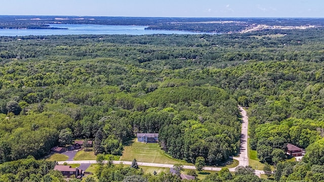 30289 Shady Ln, Burlington Twp, MN 56501 - photo 62