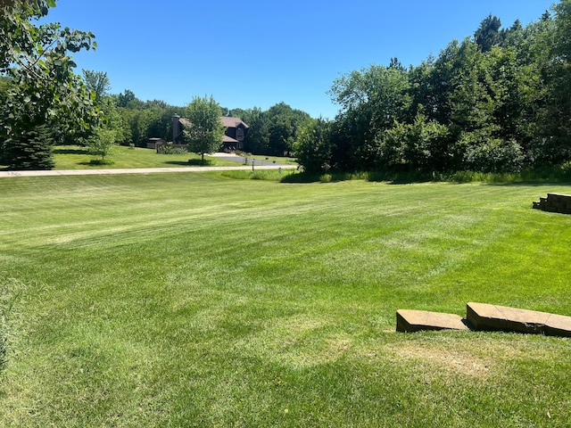 30289 Shady Ln, Burlington Twp, MN 56501 - photo 63
