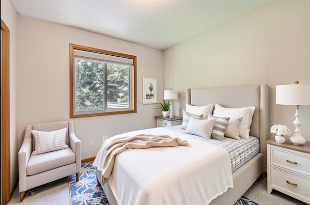 703 11th Ave SW, Isanti, MN 55040 - view of bedroom