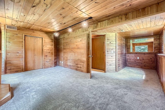 703 11th Ave SW, Isanti, MN 55040 - carpeted empty room with wooden ceiling and wooden walls