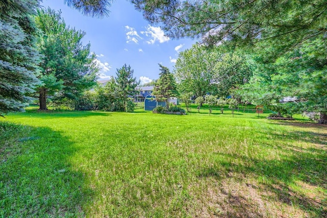 703 11th Ave SW, Isanti, MN 55040 - view of yard