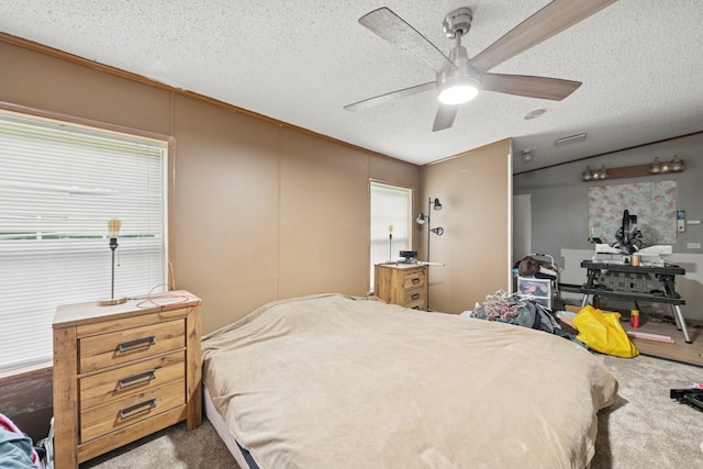 5070 10th St NW, Maple Lake, MN 55358 - carpeted bedroom featuring a textured ceiling, vaulted ceiling, multiple windows, and a ceiling fan