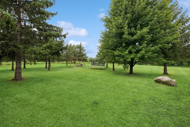 5070 10th St NW, Maple Lake, MN 55358 - view of grassy yard featuring a trampoline
