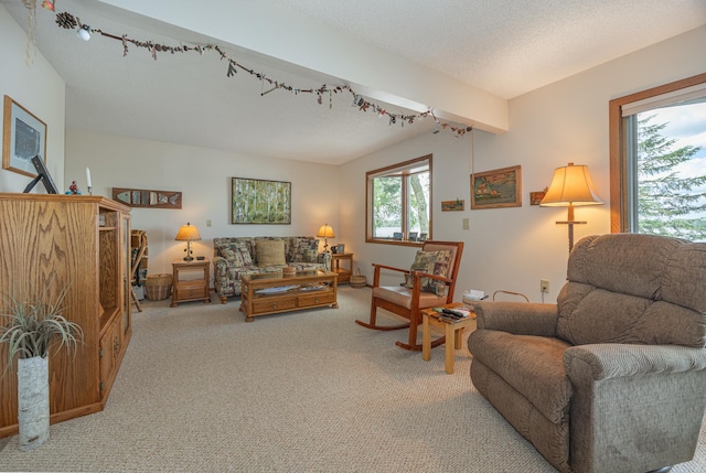 3925 Plainview Dr NW, Hackensack, MN 56452 - carpeted living room featuring rail lighting