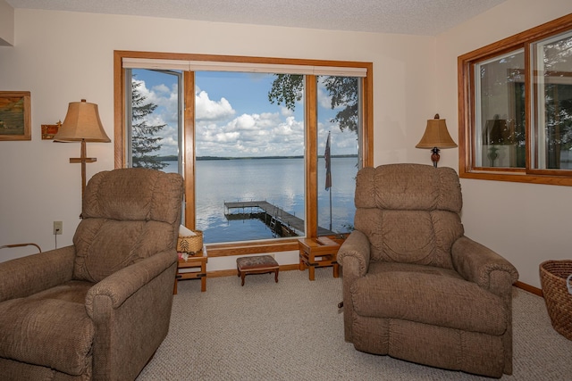3925 Plainview Dr NW, Hackensack, MN 56452 - living area featuring carpet, a water view, and plenty of natural light