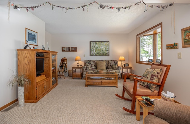 3925 Plainview Dr NW, Hackensack, MN 56452 - living room featuring light carpet and baseboards