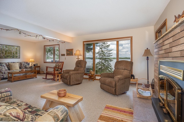 3925 Plainview Dr NW, Hackensack, MN 56452 - carpeted living room featuring rail lighting and a fireplace