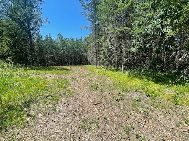 TBD Henrietta Ave, Park Rapids, MN 56470