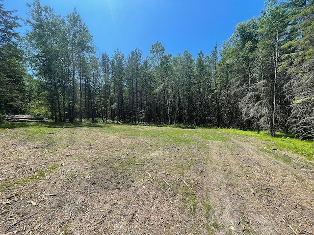 TBD Henrietta Ave, Park Rapids, MN 56470