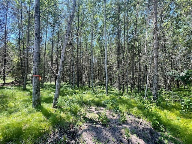 TBD Henrietta Ave, Park Rapids, MN 56470