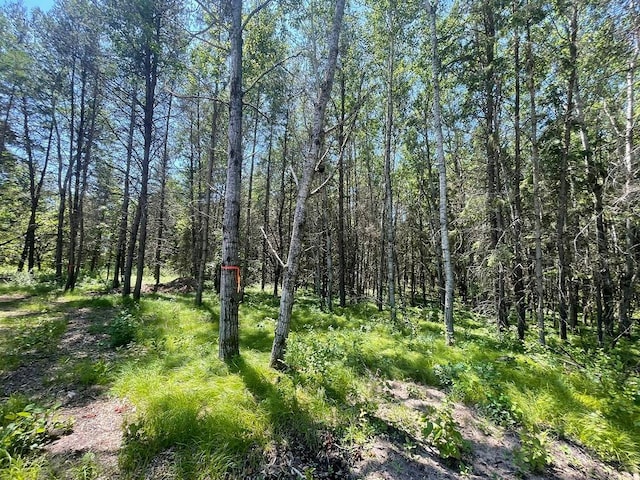 TBD Henrietta Ave, Park Rapids, MN 56470