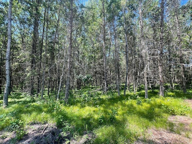 TBD Henrietta Ave, Park Rapids, MN 56470