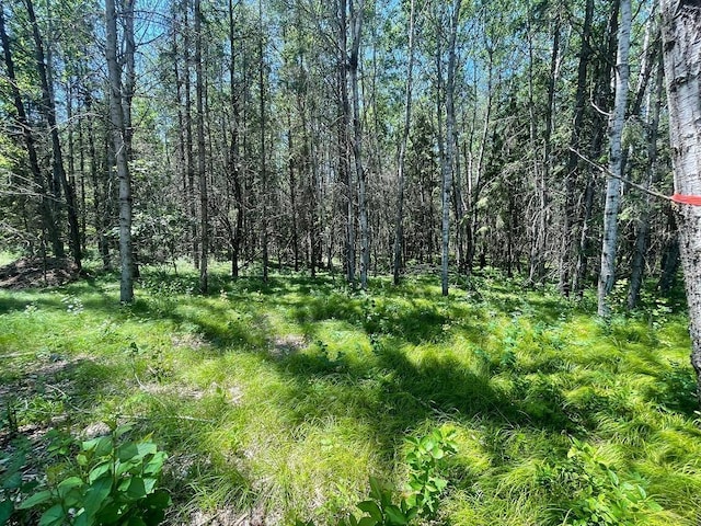 TBD Henrietta Ave, Park Rapids, MN 56470