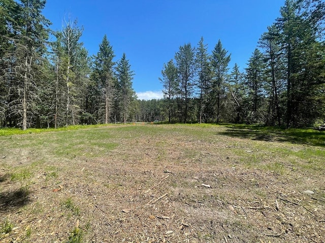 TBD Henrietta Ave, Park Rapids, MN 56470