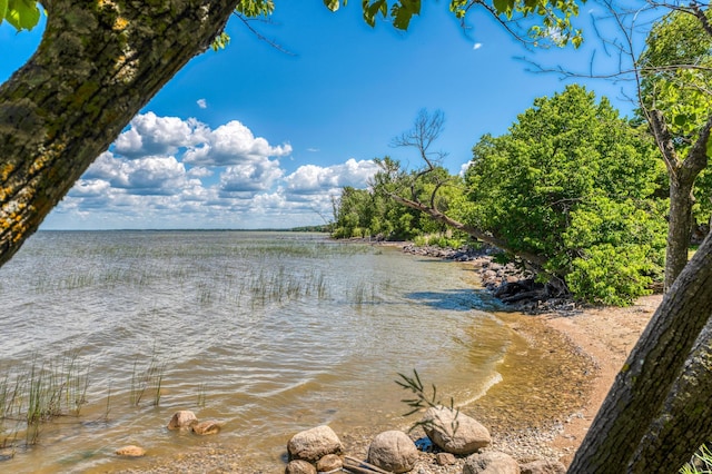 20223 Otto Way NE, Kelliher, MN 56650 - photo 7