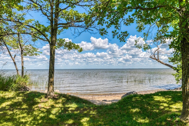 20223 Otto Way NE, Kelliher, MN 56650 - photo 8