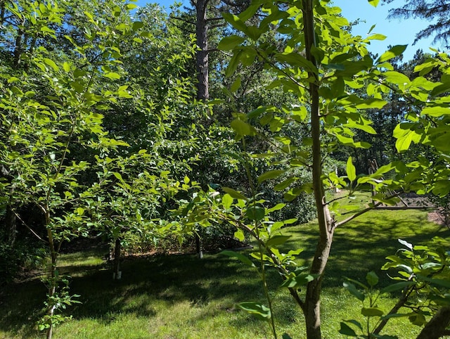 19059 County 13, Nevis, MN 56467 - photo 28