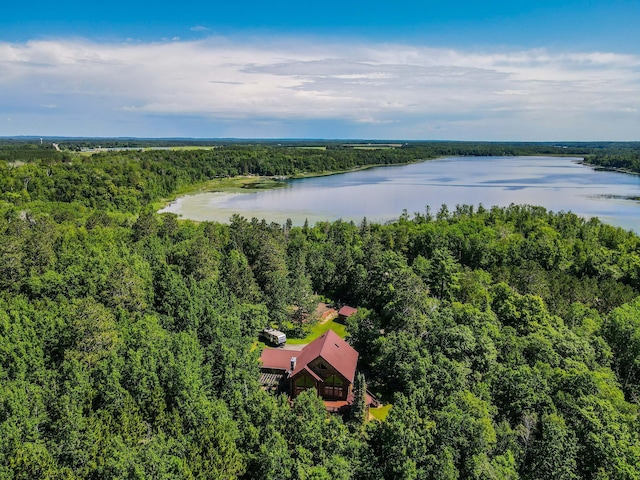 19059 County 13, Nevis, MN 56467 - photo 73