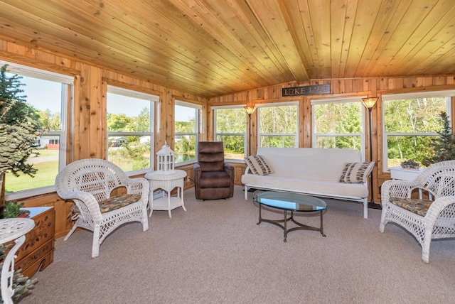 10910 County Road 10, Garrison, MN 56450 - photo 10