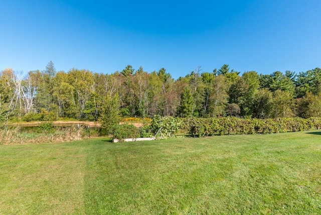 10910 County Road 10, Garrison, MN 56450 - photo 38