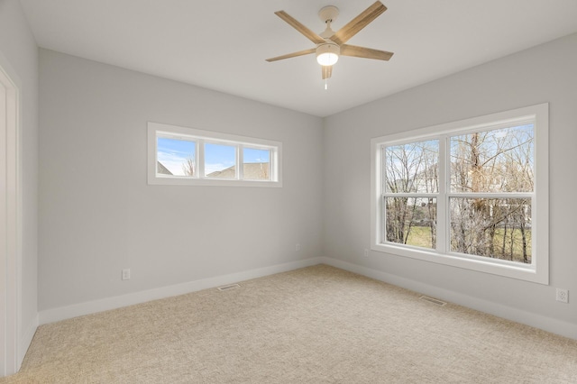 1757 Brandlewood Ct, Hastings, MN 55033 - photo 10