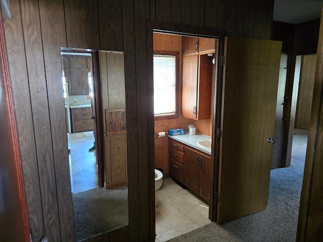 36789 State Highway 22, New Sweden Twp, MN 56082 - bathroom with vanity and wood walls
