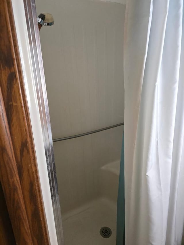 36789 State Highway 22, New Sweden Twp, MN 56082 - bathroom with a stall shower
