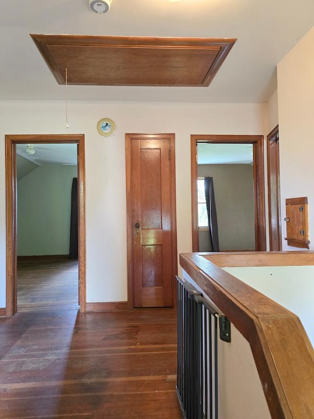 36789 State Highway 22, New Sweden Twp, MN 56082 - hallway with attic access and dark wood-style flooring