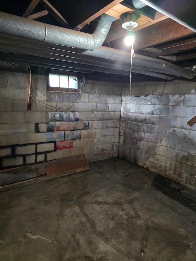 36789 State Highway 22, New Sweden Twp, MN 56082 - view of basement