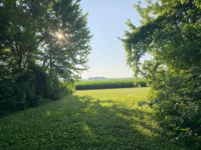 36789 State Highway 22, New Sweden Twp, MN 56082 - view of grassy yard with agricultural area and a view of countryside