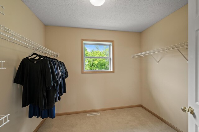 529 Creek Dr N, Champlin, MN 55316 - photo 29
