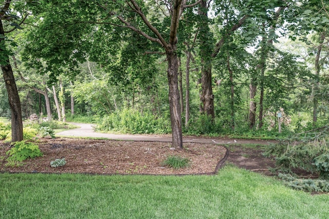 529 Creek Dr N, Champlin, MN 55316 - photo 40