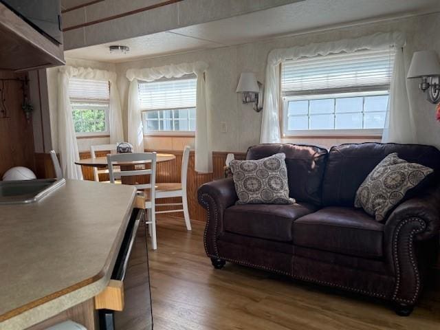 5055 Lake Mary Dr SW Unit 18, Alexandria, MN 56308 - living room with wood finished floors