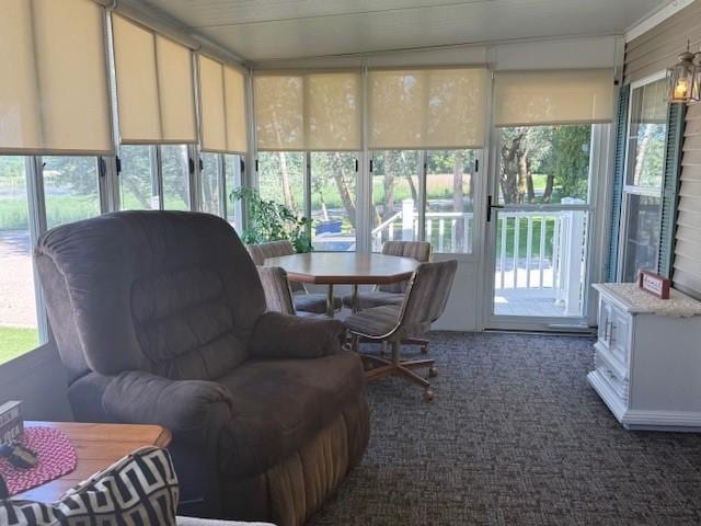 5055 Lake Mary Dr SW Unit 18, Alexandria, MN 56308 - sunroom / solarium with carpet flooring and outdoor dining area