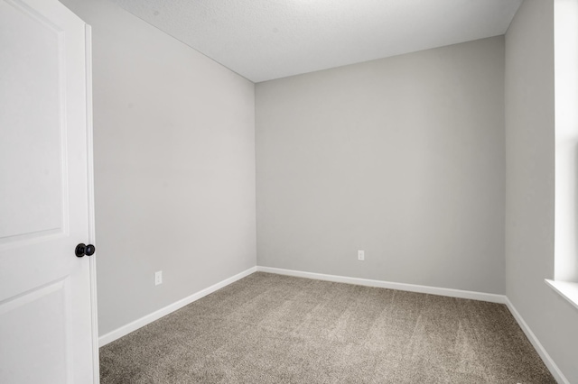 10641 29th St NE, Saint Michael, MN 55376 - photo 8