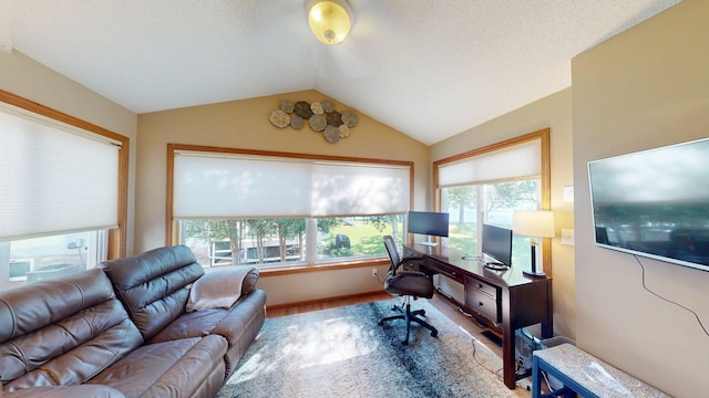 7719 N Shore Dr, Spicer, MN 56288 - photo 11