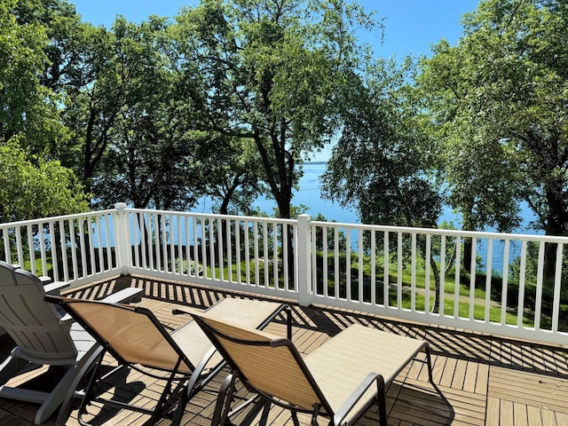 7719 N Shore Dr, Spicer, MN 56288 - photo 16