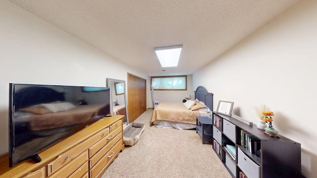 7719 N Shore Dr, Spicer, MN 56288 - photo 23