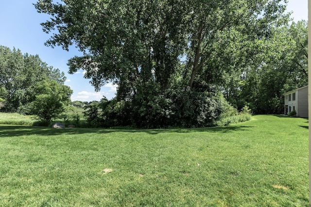 1503 Summit Shrs W, Burnsville, MN 55306 - photo 47