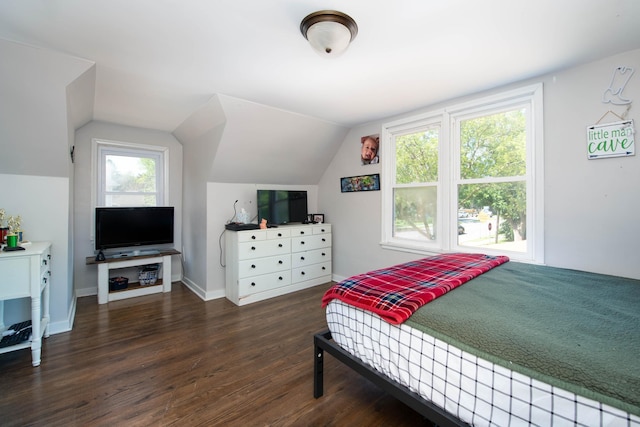 202 Silver St E, Mapleton, MN 56065 - bedroom with wood finished floors and vaulted ceiling