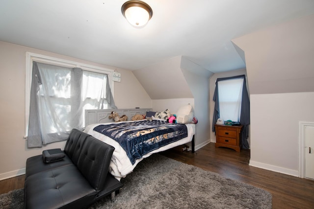 202 Silver St E, Mapleton, MN 56065 - bedroom with wood finished floors and vaulted ceiling