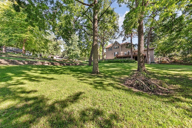 128 5th Ave SW, Faribault, MN 55021 - photo 6