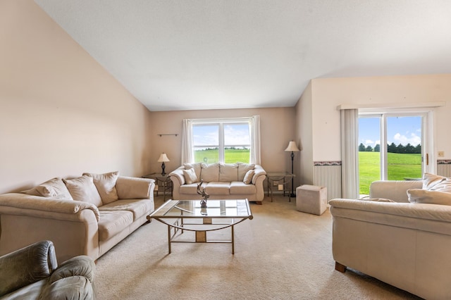175 Nicholas Dr, Lewiston, MN 55952 - photo 5