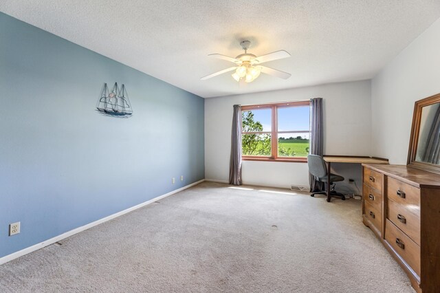 175 Nicholas Dr, Lewiston, MN 55952 - photo 11